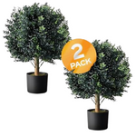 Set Of 2 Botaro Tresil Pre-Potted Topiary (24")