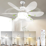 VTYXCTIGJ Breeze Socket Fan Light with Remote