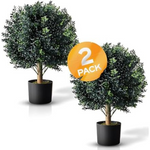 Set of 2 Botaro Tresil Pre-Potted Topiary (24")