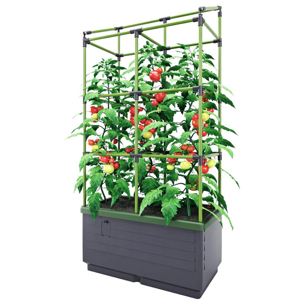 Bio Green City Jungle Gardening System Self Watering Planter
