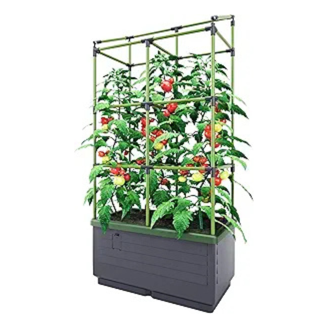 Bio Green City Jungle Gardening System Self Watering Planter