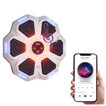 Puruye Smart Bluetooth Music Boxing Machine