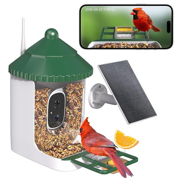 Loatos Solar AI Identify 2K Live Video Smart Bird Feeder