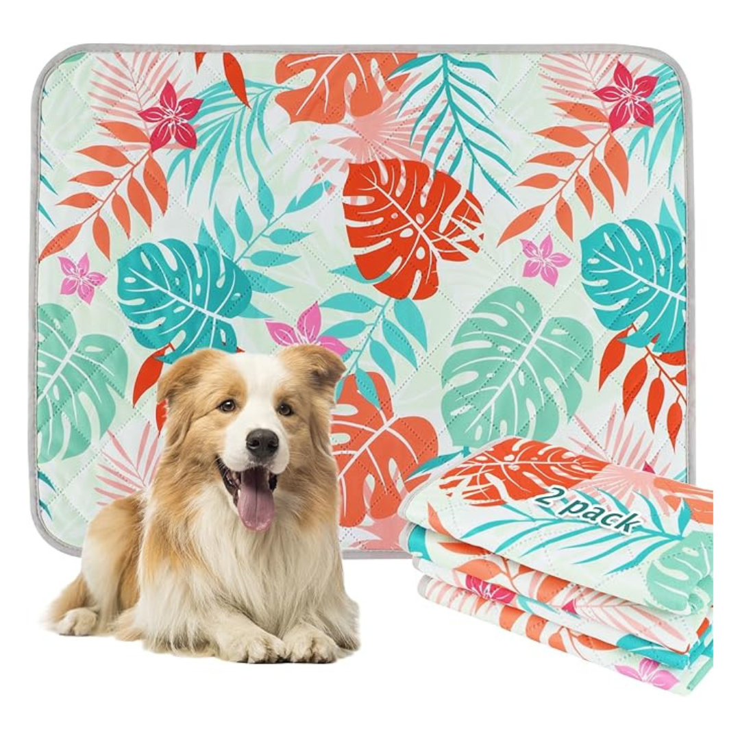 2-Pack Washable 36" x 48" Dog Reusable & Absorbent Pee Pads