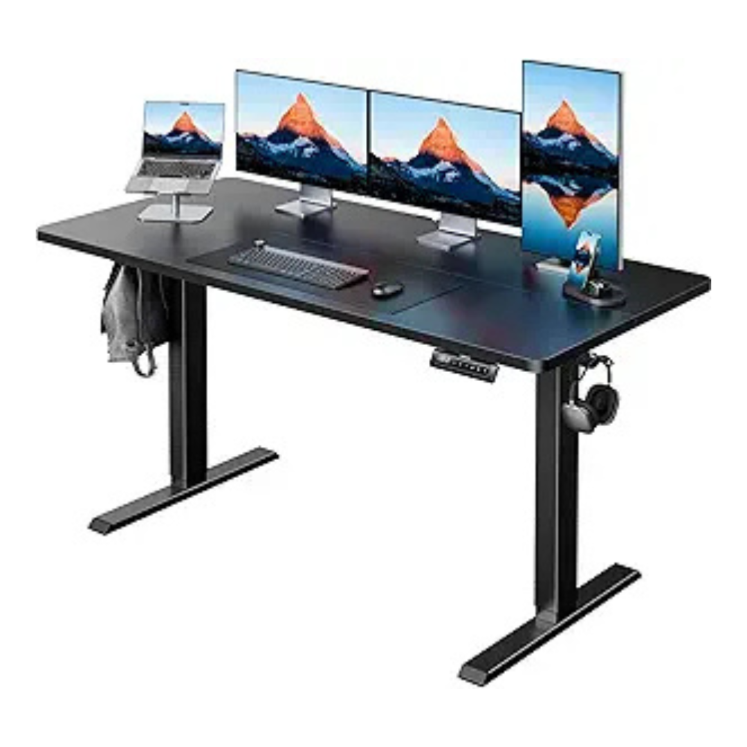 55" x 24" Height Adjustable Electric Computer Standing Desk