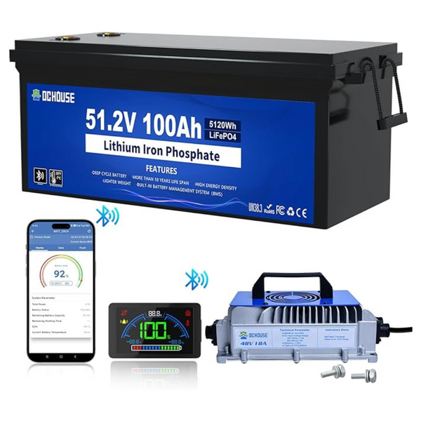 DC HOUSE 48V 100Ah Lithium Golf Cart Battery