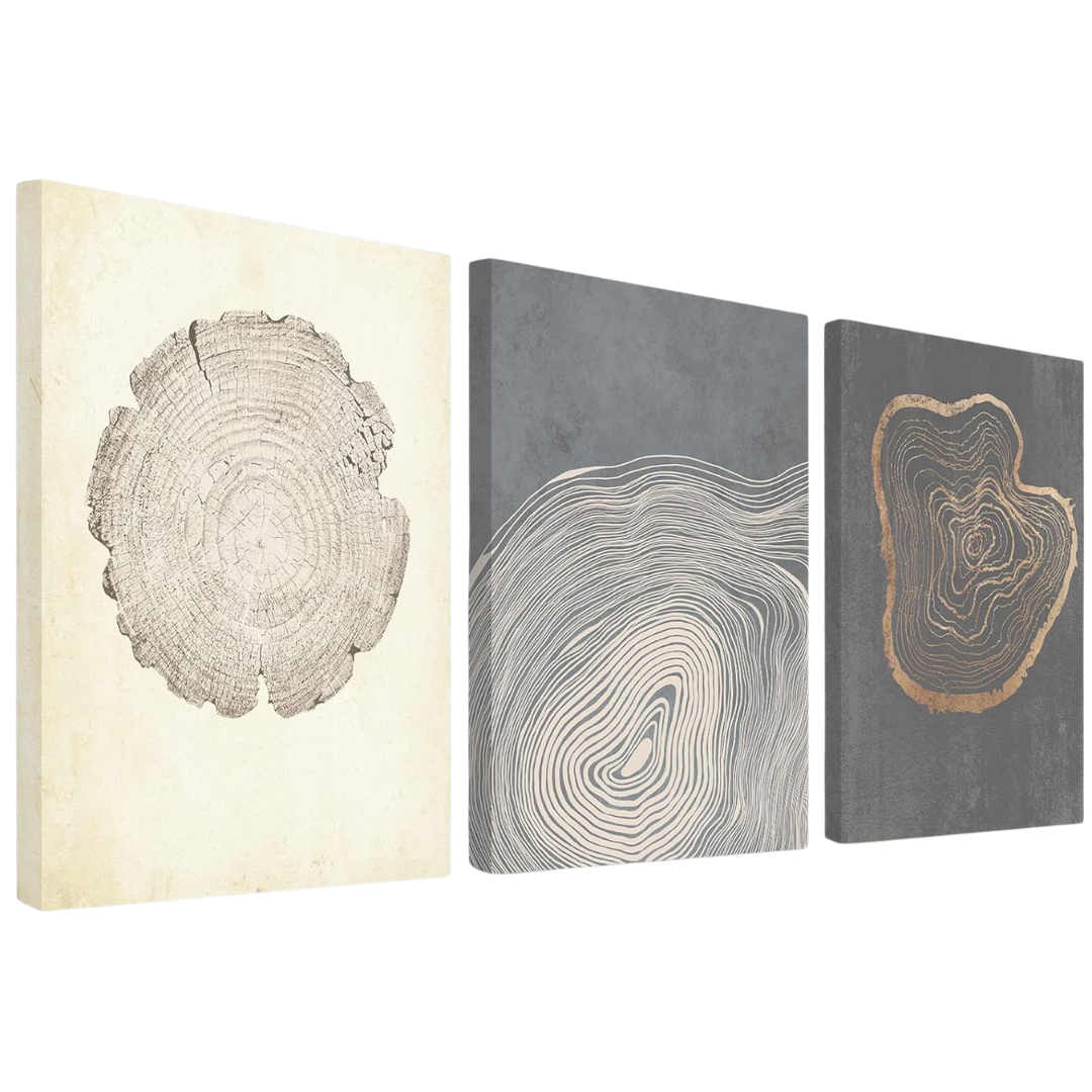 3 Panels Anyzal Canvas Tree Ring Wall Art