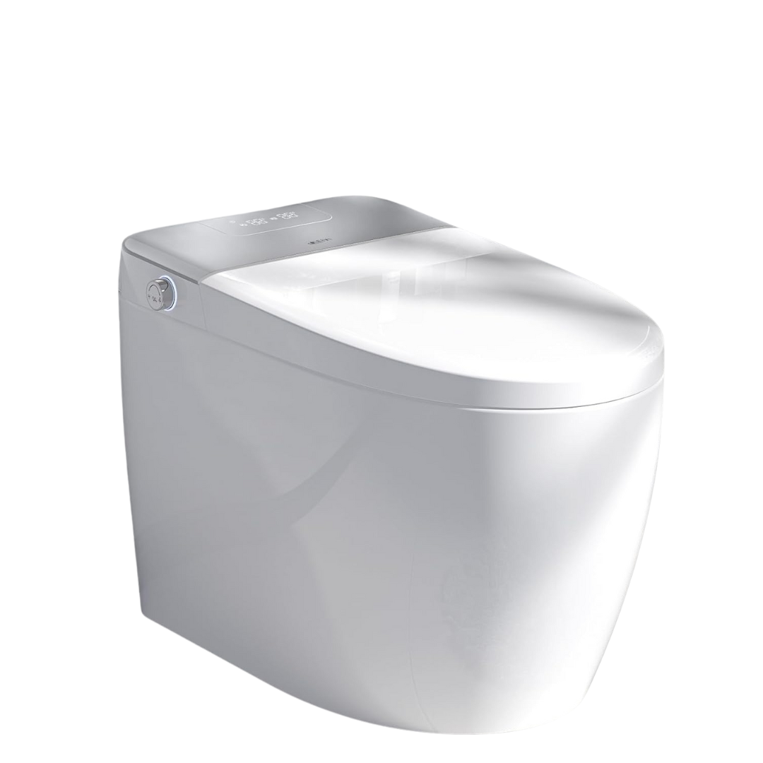 LEIVI Smart Bidet Toilet With Built-in Bidet Seat Tankless Toilet