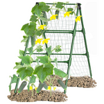 Cucumber A Frame Plant Supports Green Trellis