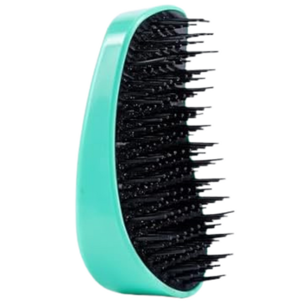 Amazon Basics Detangling Palm Hair Brush For All Hair Types Wet Or Dry