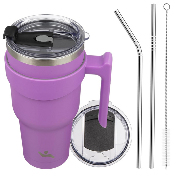 40 oz Insulated Stainless Steel Tumbler With Handle, 2 Straws, 2 Lids