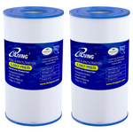 2-Pack iLiving ILG8CF-PRB35 Pool & Spa Filter Replacement