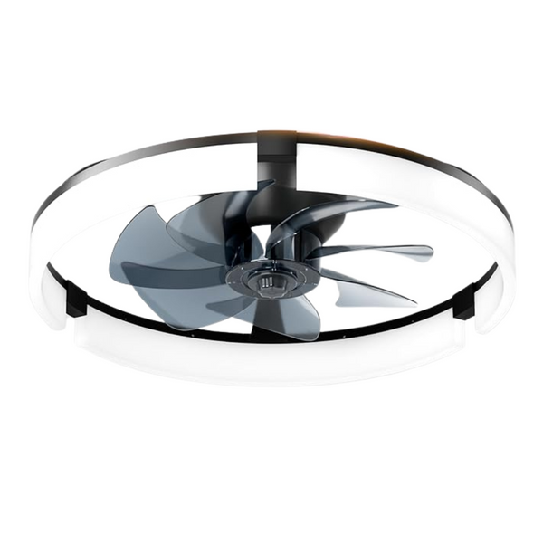 Coonyes 20" Low Profile Ceiling Fans With Lights & Remote