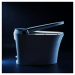 HOROW 1.11 GPF Build-In Tank Elongated Smart Toilet Bidet