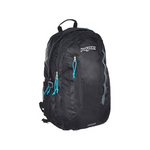 JanSport Women's Agave 15" Backpack