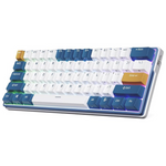 RK Royal Kludge Wireless Mechanical Gaming Keyboard (RK61 Plus)