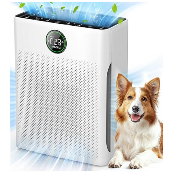 Air Purifiers For Home Large Room Up To 2200sq.ft
