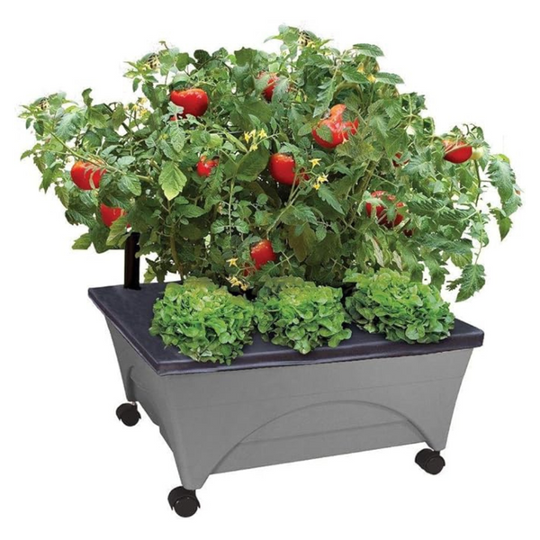 Emsco Group City Picker Raised Bed Grow Box