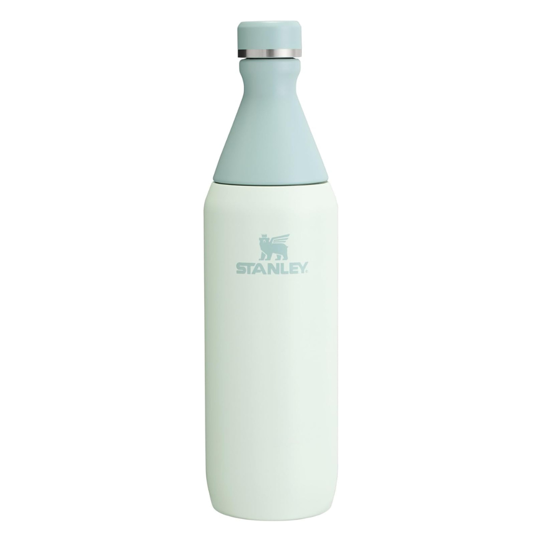 20 oz Stanley All Day Slim Bottle