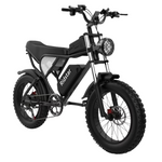 Ridstar Q20 48V/20Ah Electric Mountain Bike