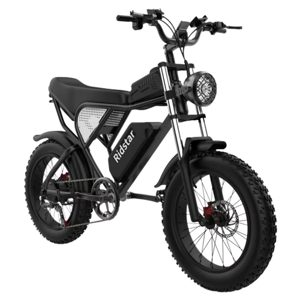 Ridstar Q20 48V/20Ah Electric Mountain Bike