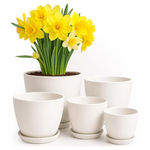 5-Pack Utopia Home Plastic Plant Pots with Drainage (7/6.6/6/5.3/4.8 Inch)