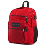 JanSport Laptop Backpack with 2 Compartments
