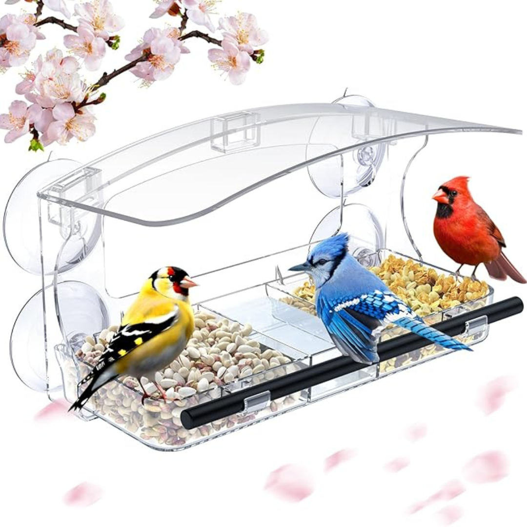 Window Bird Feeder with Strong Suction Cups