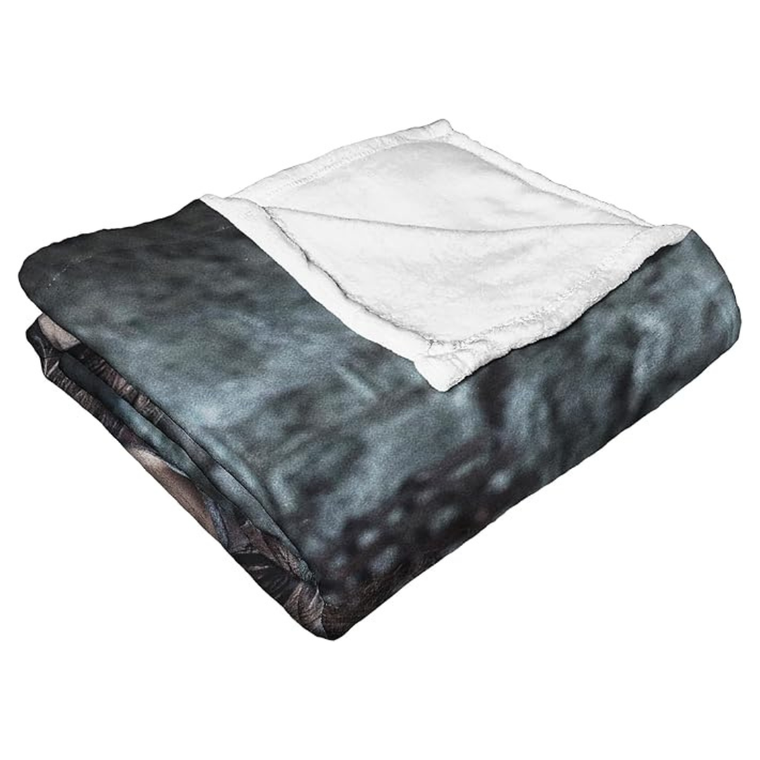 Northwest Game of Thrones Arya Stark Silk Touch Throw Blanket