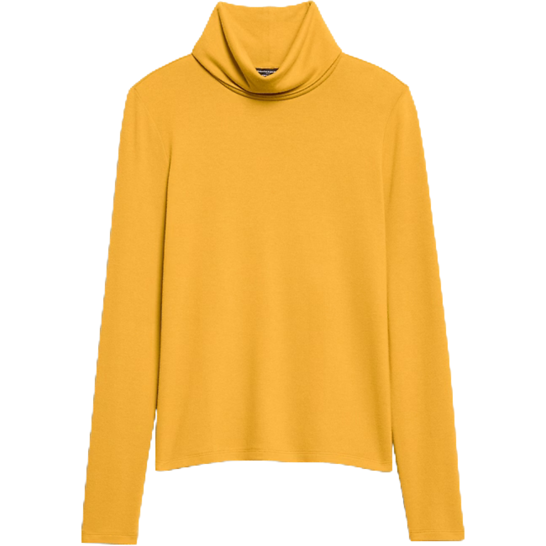 Banana Republic Factory Women's Soft Luxe Turtleneck Top