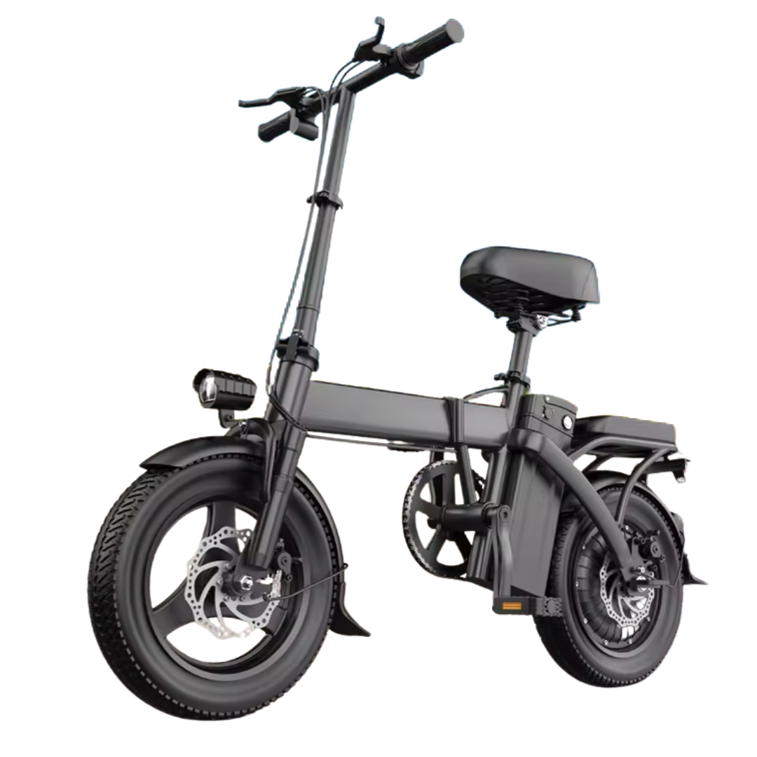 Foldable 750W Peak Motor Electric Bike