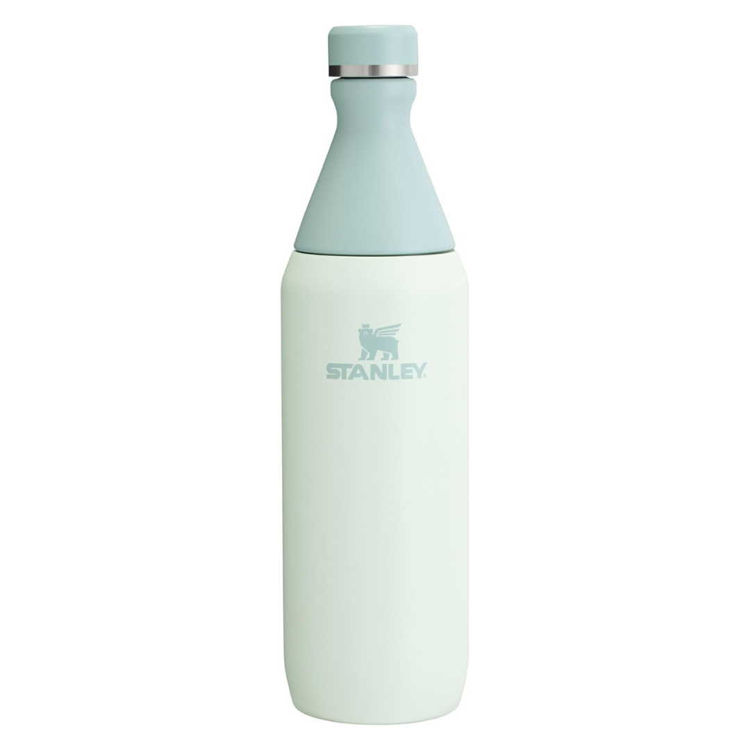 20 oz Stanley All Day Slim Bottle