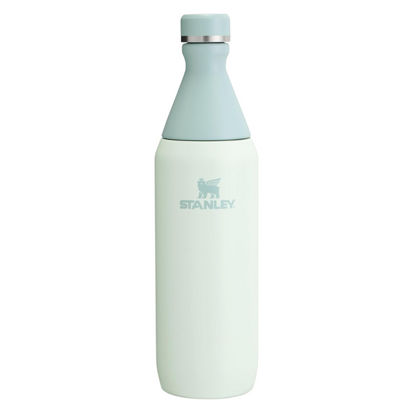 20 oz Stanley All Day Slim Bottle