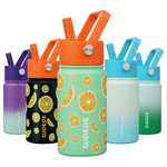 15Oz BPA Free Insulated Water Bottle With Straw Lid