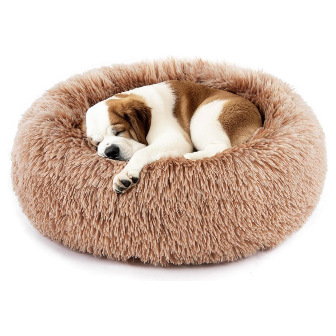 Up To 40% Off On Pet Beds At Amazon