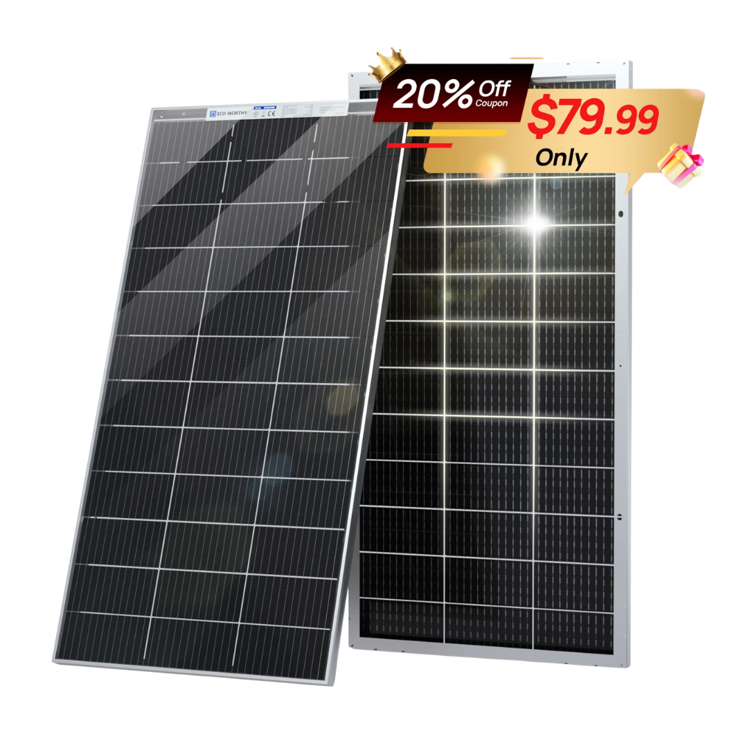 ECO-WORTHY Bifacial 195W Watt 12V Solar Panel