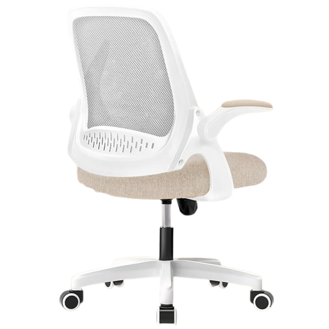 Neo Chair Ergonomic Lumbar Support Office Desk Gaming Chair (3 colors)