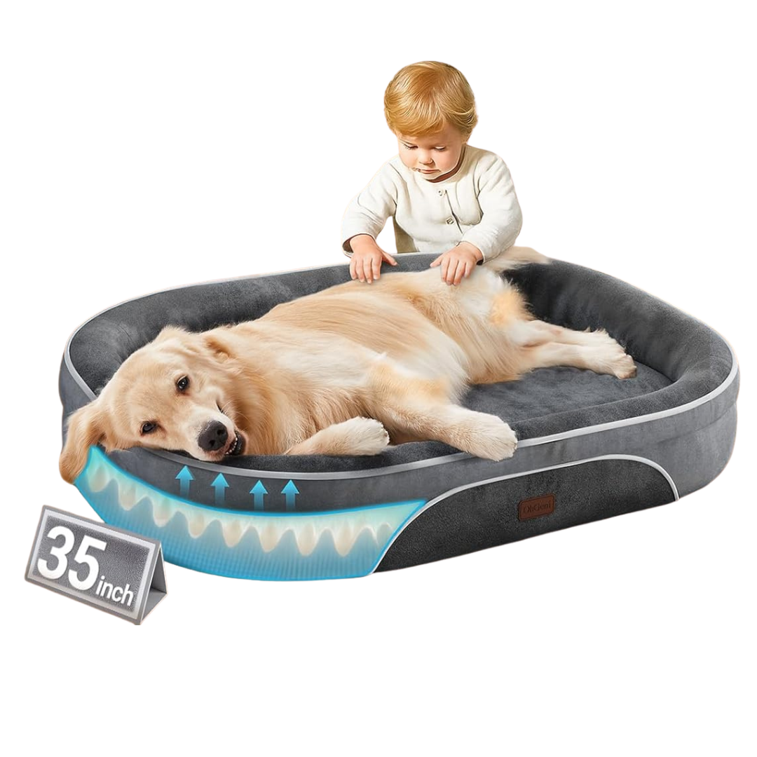 OhGeni Orthopedic Dog Bed for Large Dogs