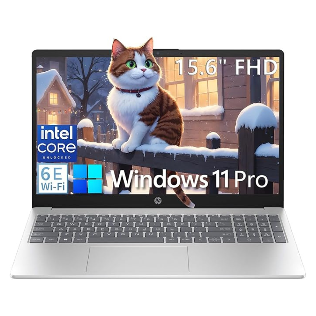 HP 15.6" FHD Laptop (N100 / 32GB RAM / 1TB SSD)