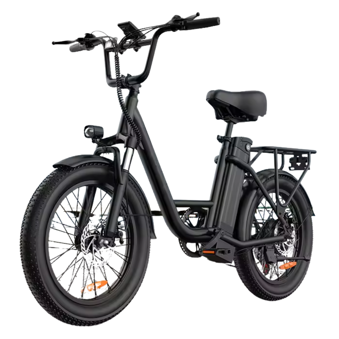 1000W E20 7-Speed Electric Bike With Dual Disc Brake