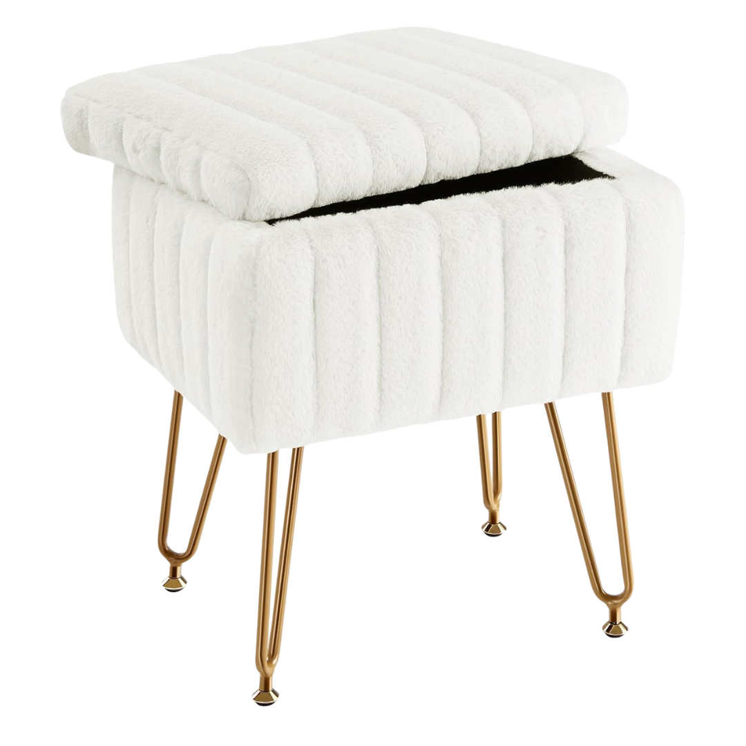 Sweetcrispy Vanity Stool Chair With Storage