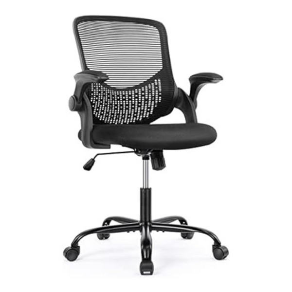 Olixis Ergonomic Home Office Chair with Flip-up Arms