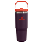 30 oz Stanley IceFlow Flip Straw Insulated Stainless Steel Tumbler