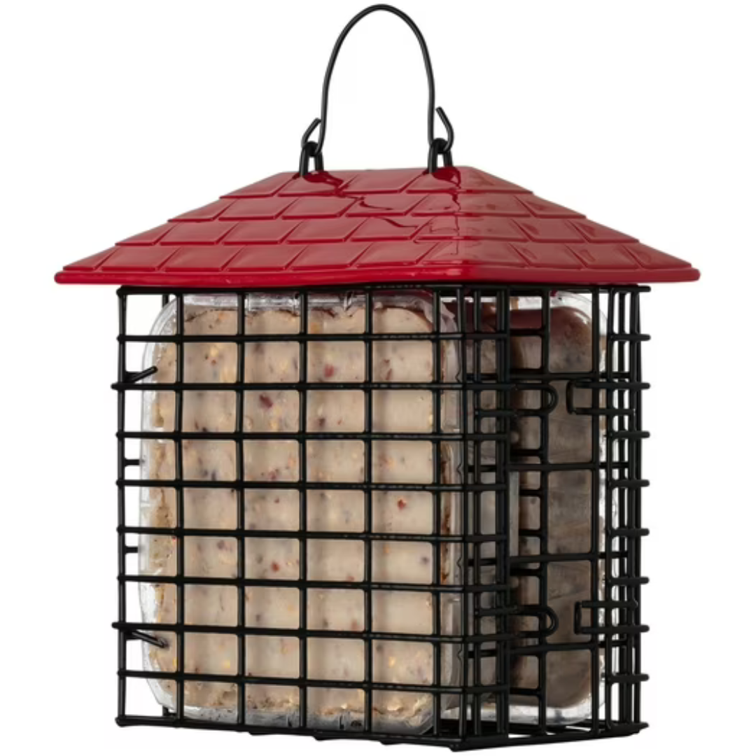 More Birds Double Suet Feeder with Weather Guard