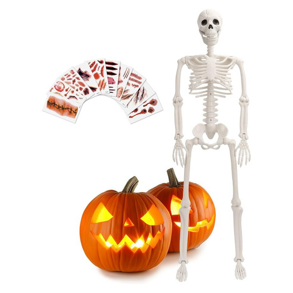 Crogift 3ft Full Body Halloween Skeleton Decoration