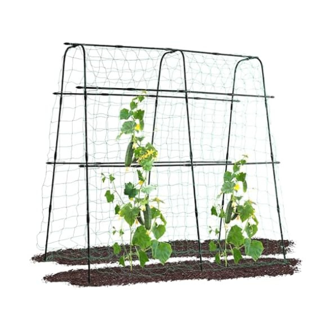 Lalahoni 5.3 x 5.3ft Garden Arch Plant Support Trellis
