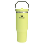 30-Oz Stanley IceFlow 2.0 Flip Straw Tumbler with Handle (Prickly Pear)