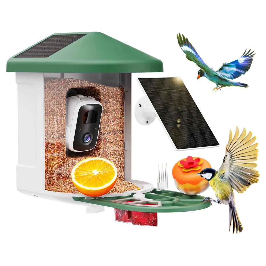Smart Bird Feeder Camera With AI Identify Bird Species