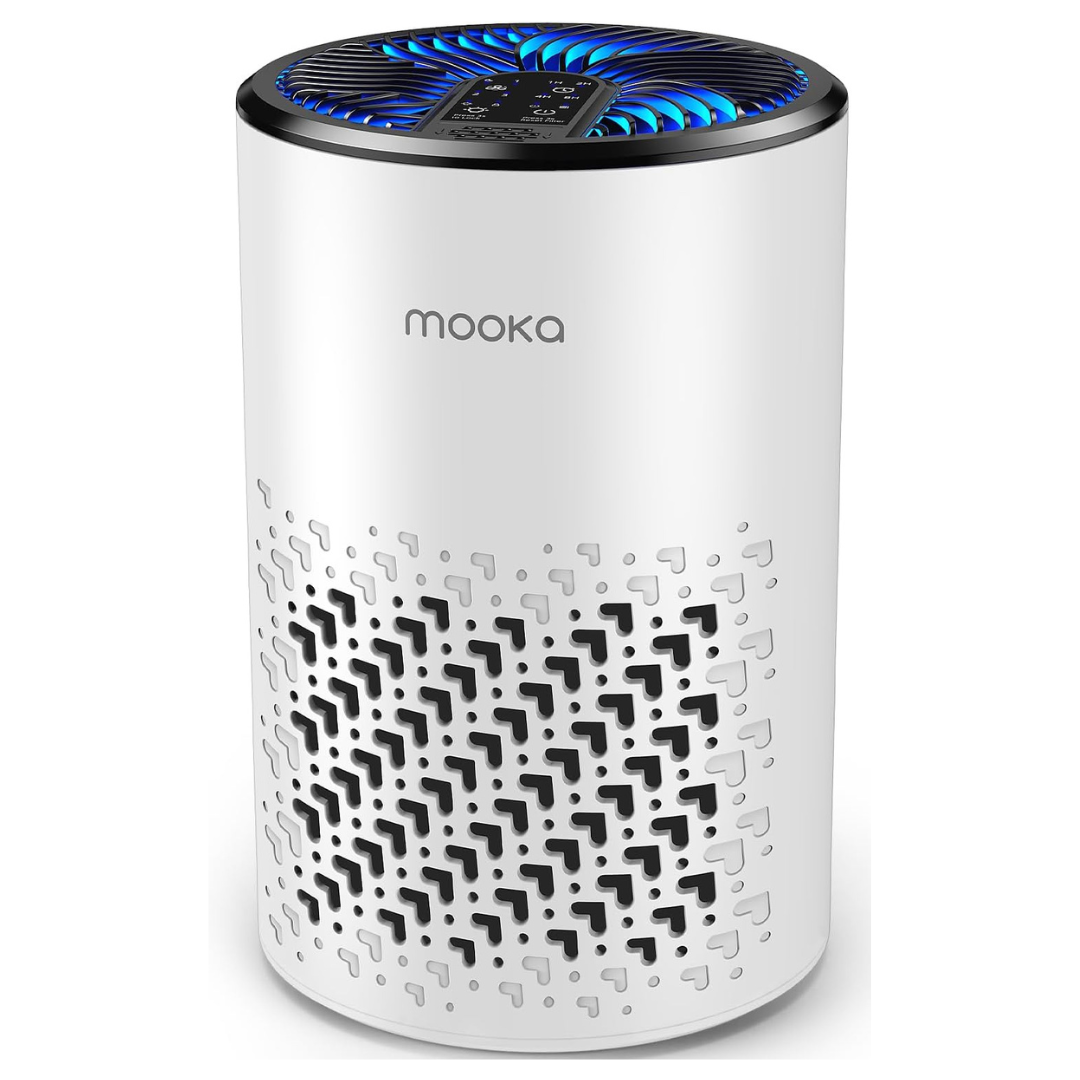 HEPA Small Air Purifier With Fragrance Sponge