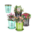 8-Pack Nikoniko 6.5" 4 Colors Plant Pots With Drainage Holes